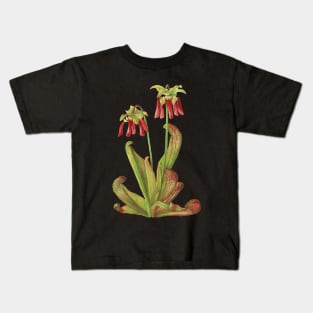 Parrot Pitcherplant - Sarracenia Psittacina - Walcott - Botanical Illustration Kids T-Shirt